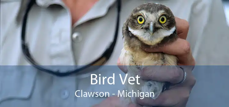 Bird Vet Clawson - Michigan
