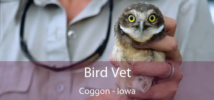 Bird Vet Coggon - Iowa