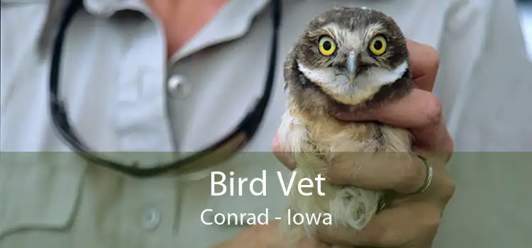 Bird Vet Conrad - Iowa