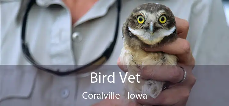 Bird Vet Coralville - Iowa