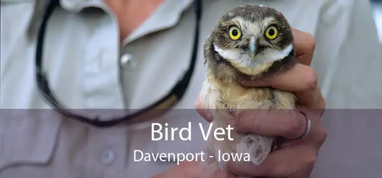 Bird Vet Davenport - Iowa