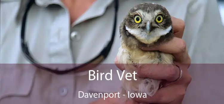 Bird Vet Davenport - Iowa