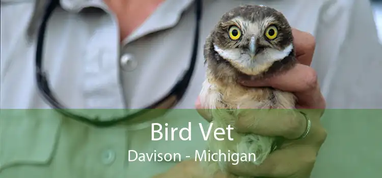 Bird Vet Davison - Michigan