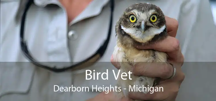 Bird Vet Dearborn Heights - Michigan