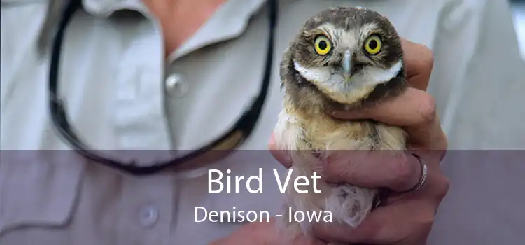 Bird Vet Denison - Iowa