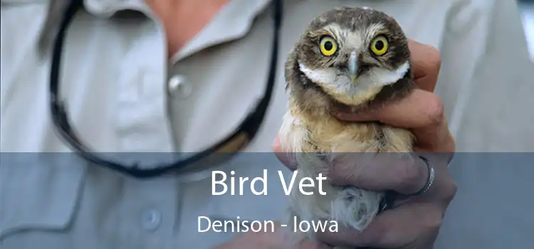 Bird Vet Denison - Iowa