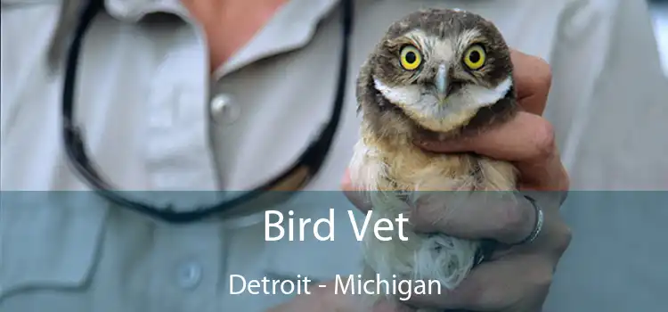 Bird Vet Detroit - Michigan