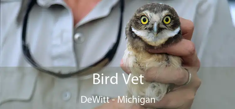 Bird Vet DeWitt - Michigan