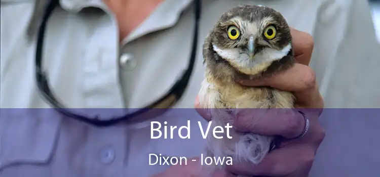 Bird Vet Dixon - Iowa