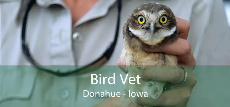 Bird Vet Donahue - Iowa