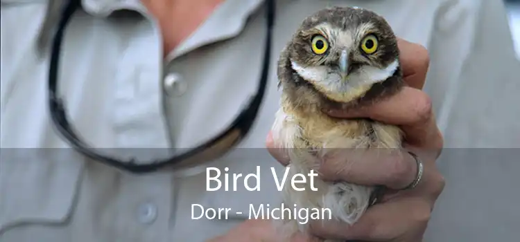 Bird Vet Dorr - Michigan