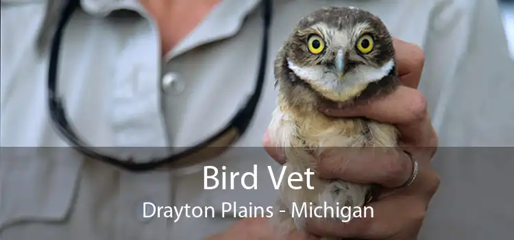 Bird Vet Drayton Plains - Michigan