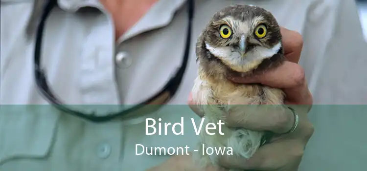 Bird Vet Dumont - Iowa