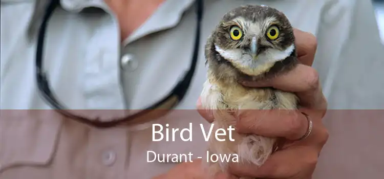 Bird Vet Durant - Iowa