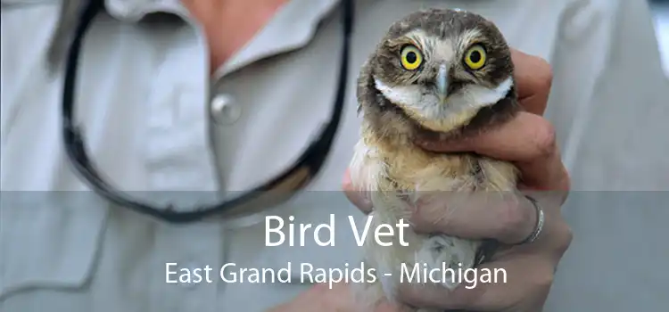 Bird Vet East Grand Rapids - Michigan