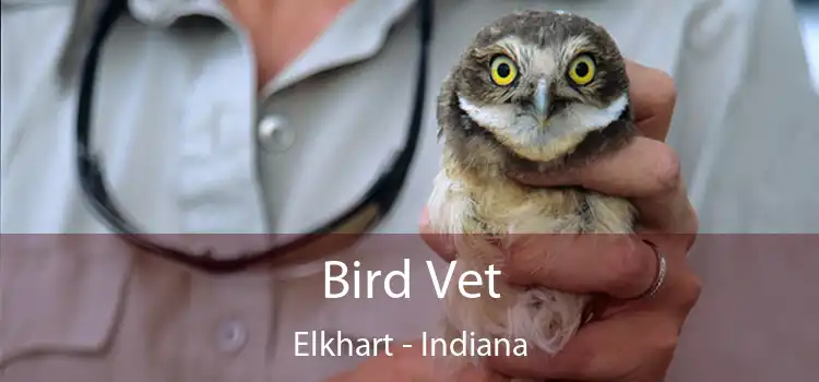 Bird Vet Elkhart - Indiana