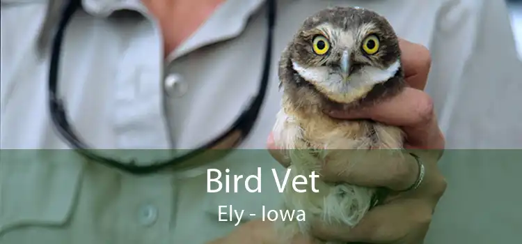 Bird Vet Ely - Iowa