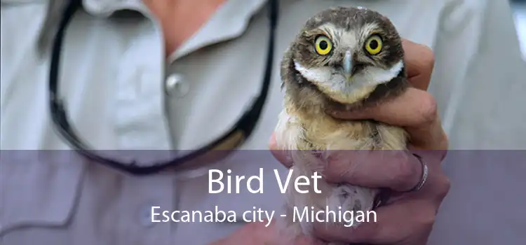 Bird Vet Escanaba city - Michigan