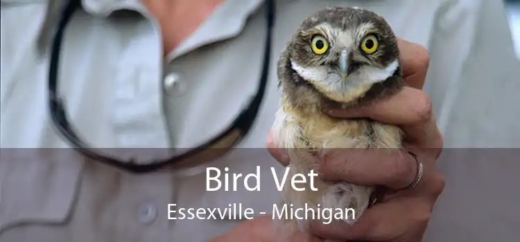 Bird Vet Essexville - Michigan