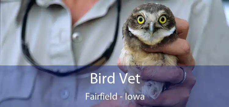 Bird Vet Fairfield - Iowa