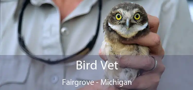 Bird Vet Fairgrove - Michigan