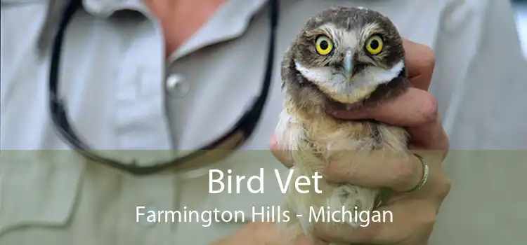 Bird Vet Farmington Hills - Michigan