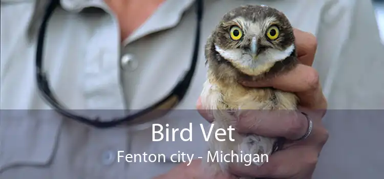 Bird Vet Fenton city - Michigan