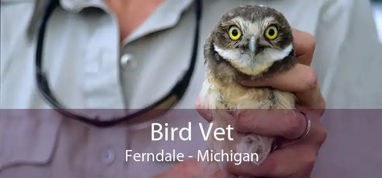 Bird Vet Ferndale - Michigan