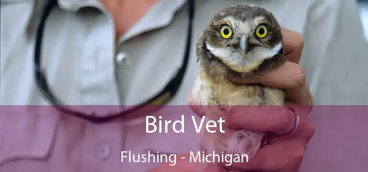 Bird Vet Flushing - Michigan