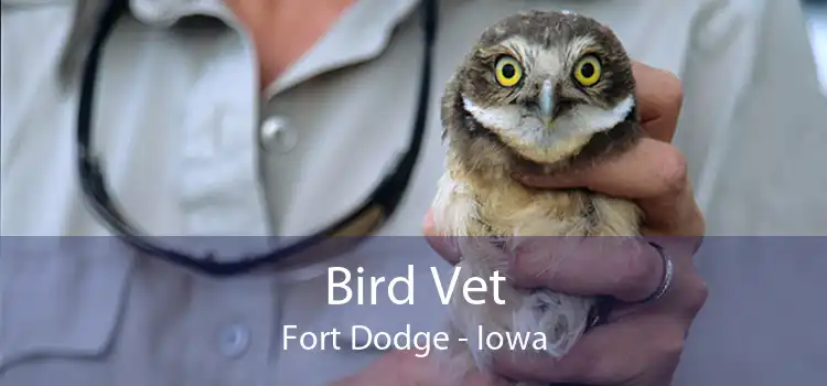 Bird Vet Fort Dodge - Iowa