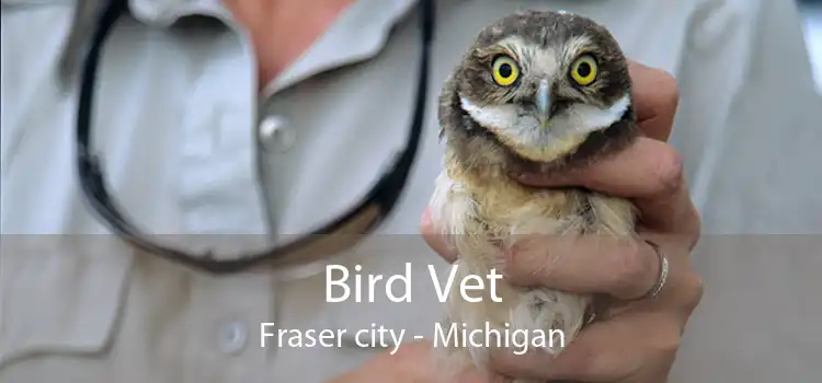 Bird Vet Fraser city - Michigan