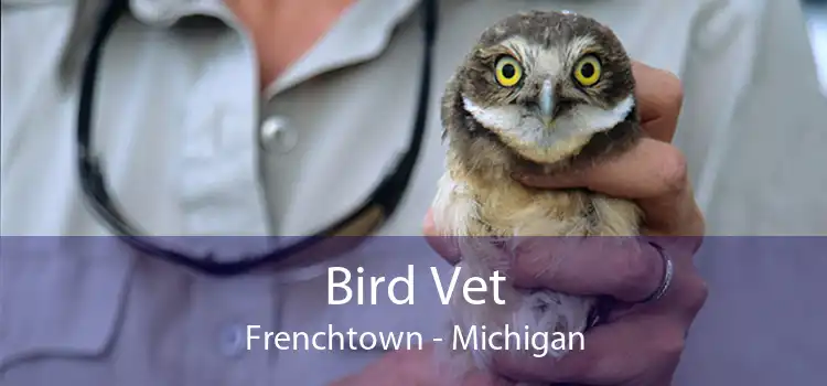 Bird Vet Frenchtown - Michigan