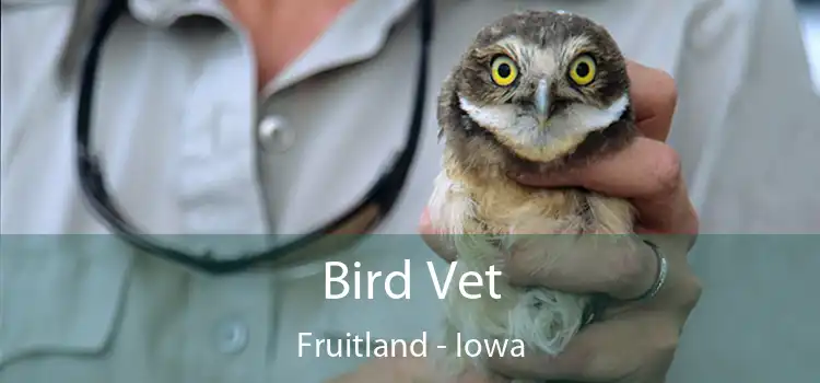 Bird Vet Fruitland - Iowa