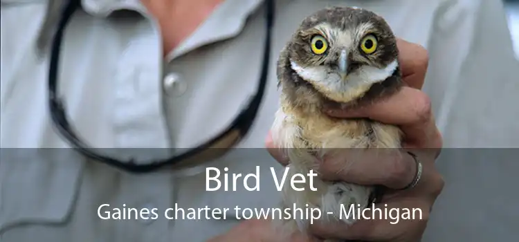 Bird Vet Gaines charter township - Michigan