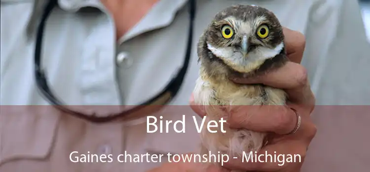 Bird Vet Gaines charter township - Michigan