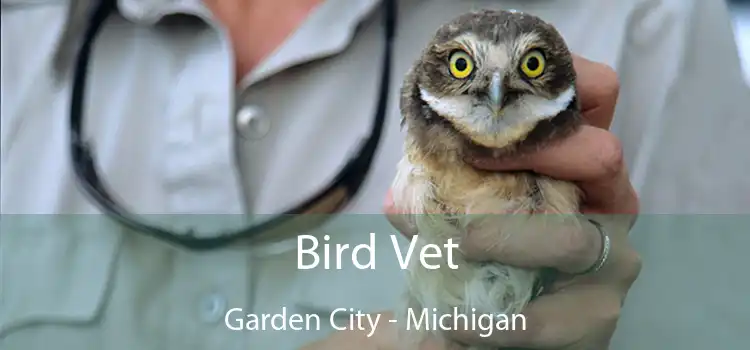 Bird Vet Garden City - Michigan