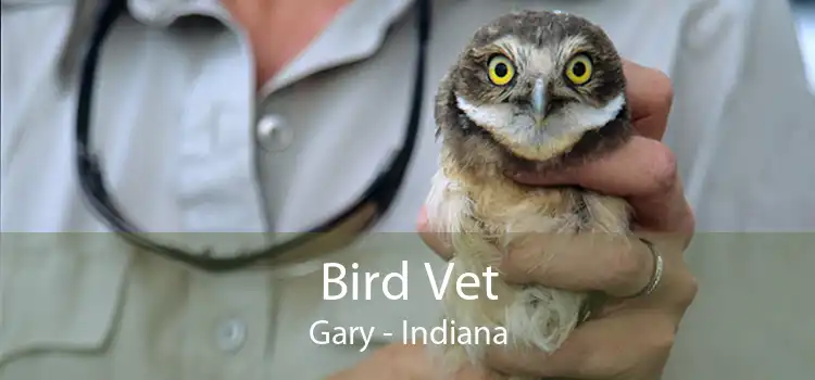 Bird Vet Gary - Indiana