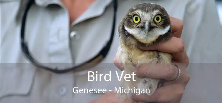 Bird Vet Genesee - Michigan