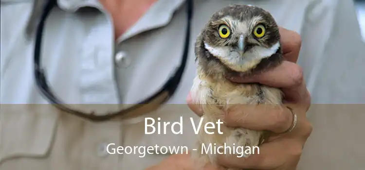 Bird Vet Georgetown - Michigan