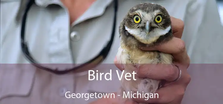 Bird Vet Georgetown - Michigan