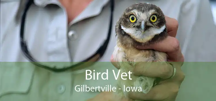 Bird Vet Gilbertville - Iowa