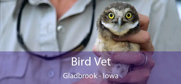 Bird Vet Gladbrook - Iowa