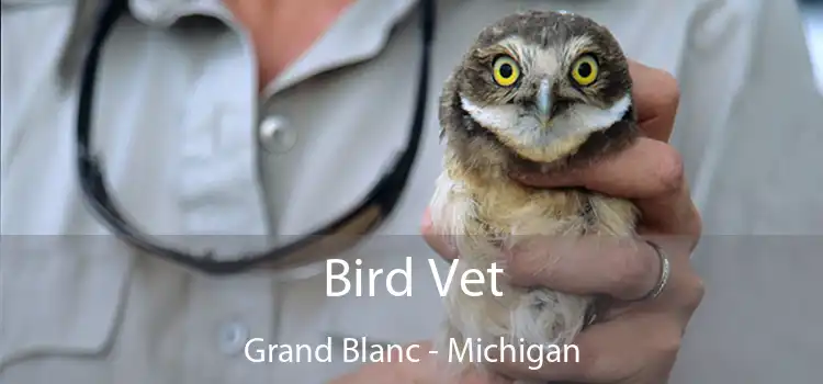 Bird Vet Grand Blanc - Michigan