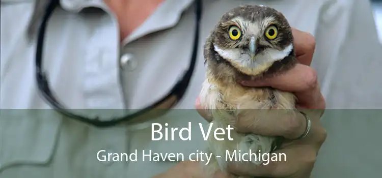 Bird Vet Grand Haven city - Michigan