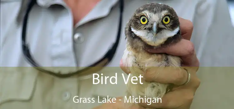 Bird Vet Grass Lake - Michigan