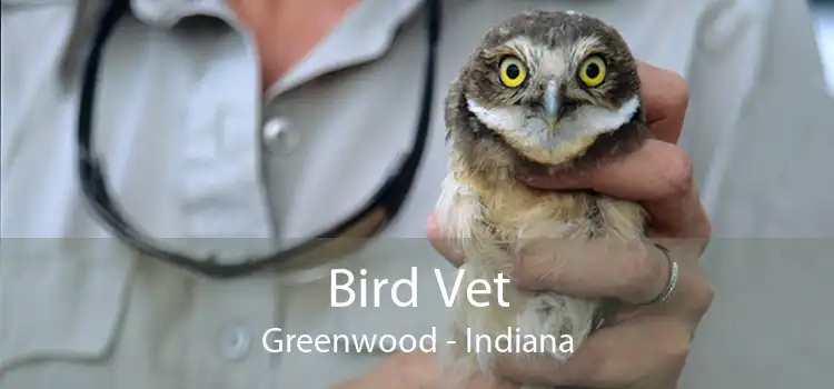 Bird Vet Greenwood - Indiana