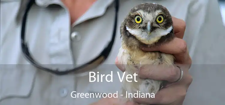 Bird Vet Greenwood - Indiana