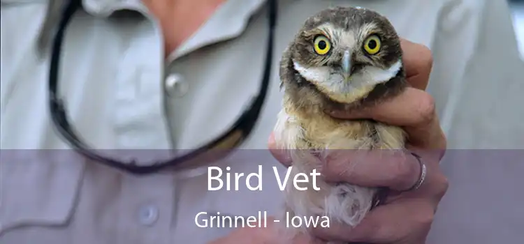 Bird Vet Grinnell - Iowa