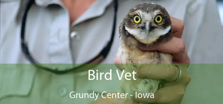 Bird Vet Grundy Center - Iowa