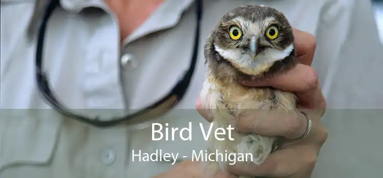 Bird Vet Hadley - Michigan